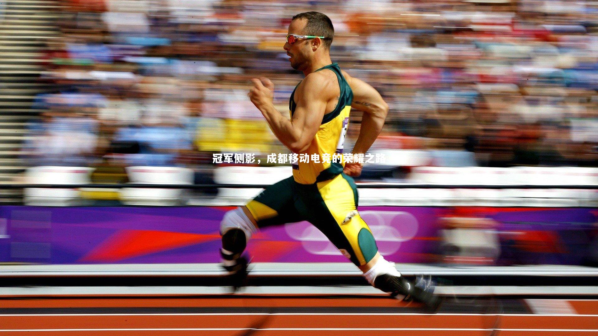 冠军侧影，成都移动电竞的荣耀之路
